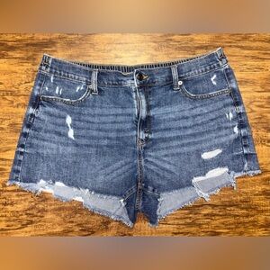 Aerie High Rise Shorts Size Large